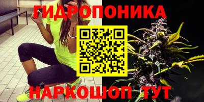 шишки Пыть-Ях