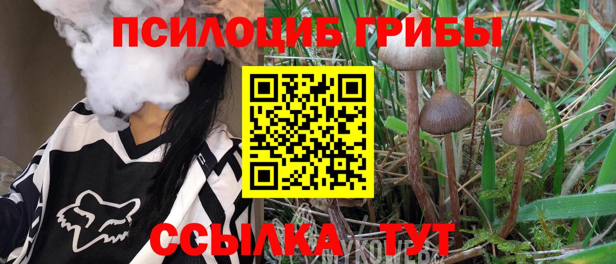 Родники  Псилоцибиновые грибы GOLDEN TEACHER  Вход с VPN 
